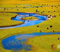 惍惏瑆惽决定于惍惏自惼属性